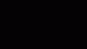 Perception Logo, Animiert